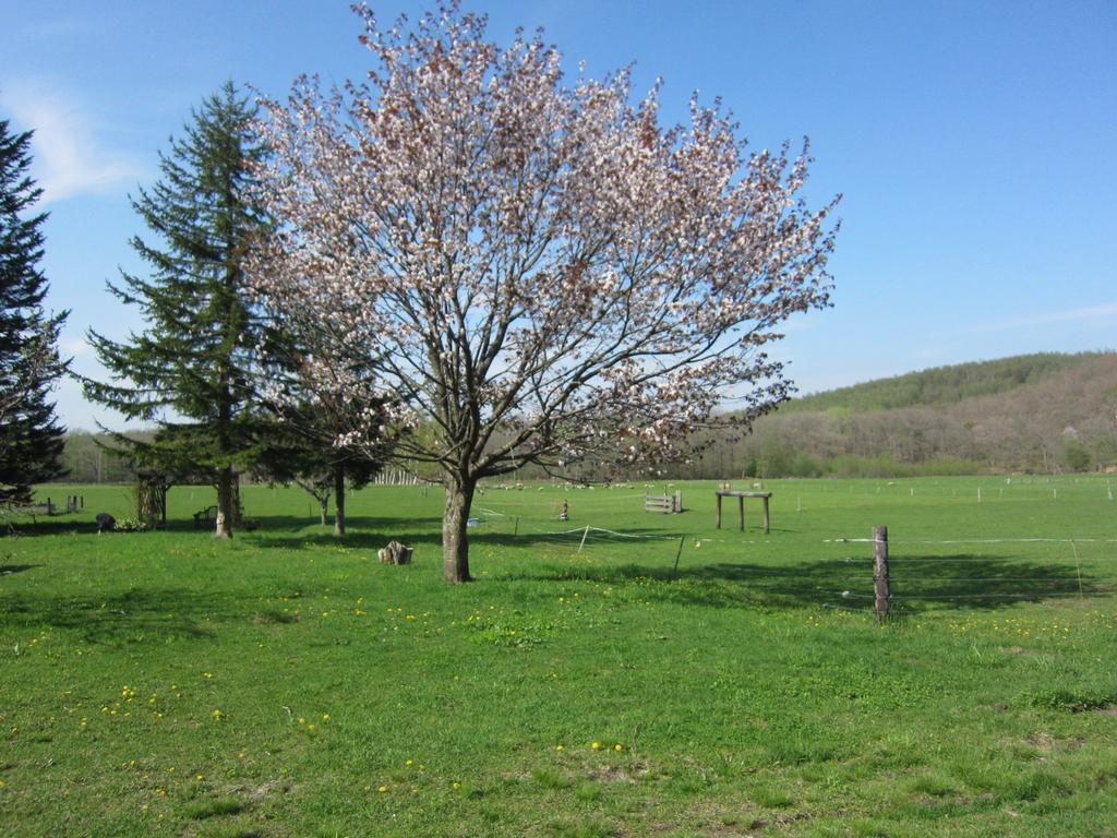 Yorkshire Farm Villa Shintoku Exterior photo